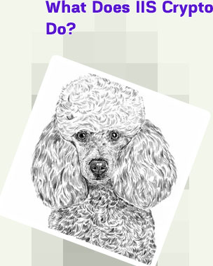 Poodle crypto
